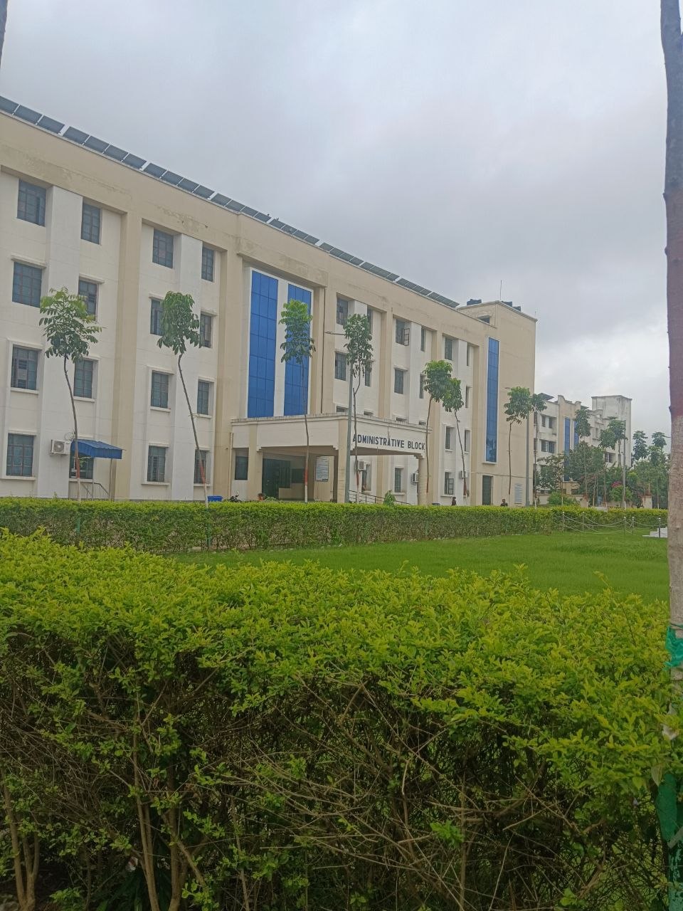B.Tech College